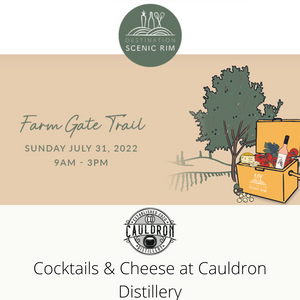 Cocktails and Cheese in the Sun