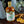 Load image into Gallery viewer, "Limited Release" Barrel Aged Christmas Gin