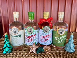 2025 Christmas Gift Ideas