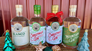 2025 Christmas Gift Ideas