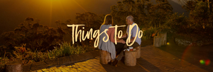 Destination Gold Coast write up