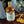 Load image into Gallery viewer, Five-To-Five "Limited Release" Barrel Aged Christmas Gin - Customer Club
